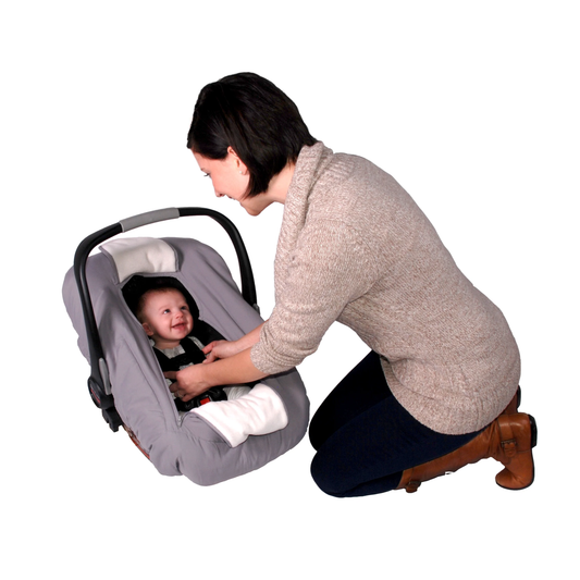 Arctic Sneak-A-Peek - Grey