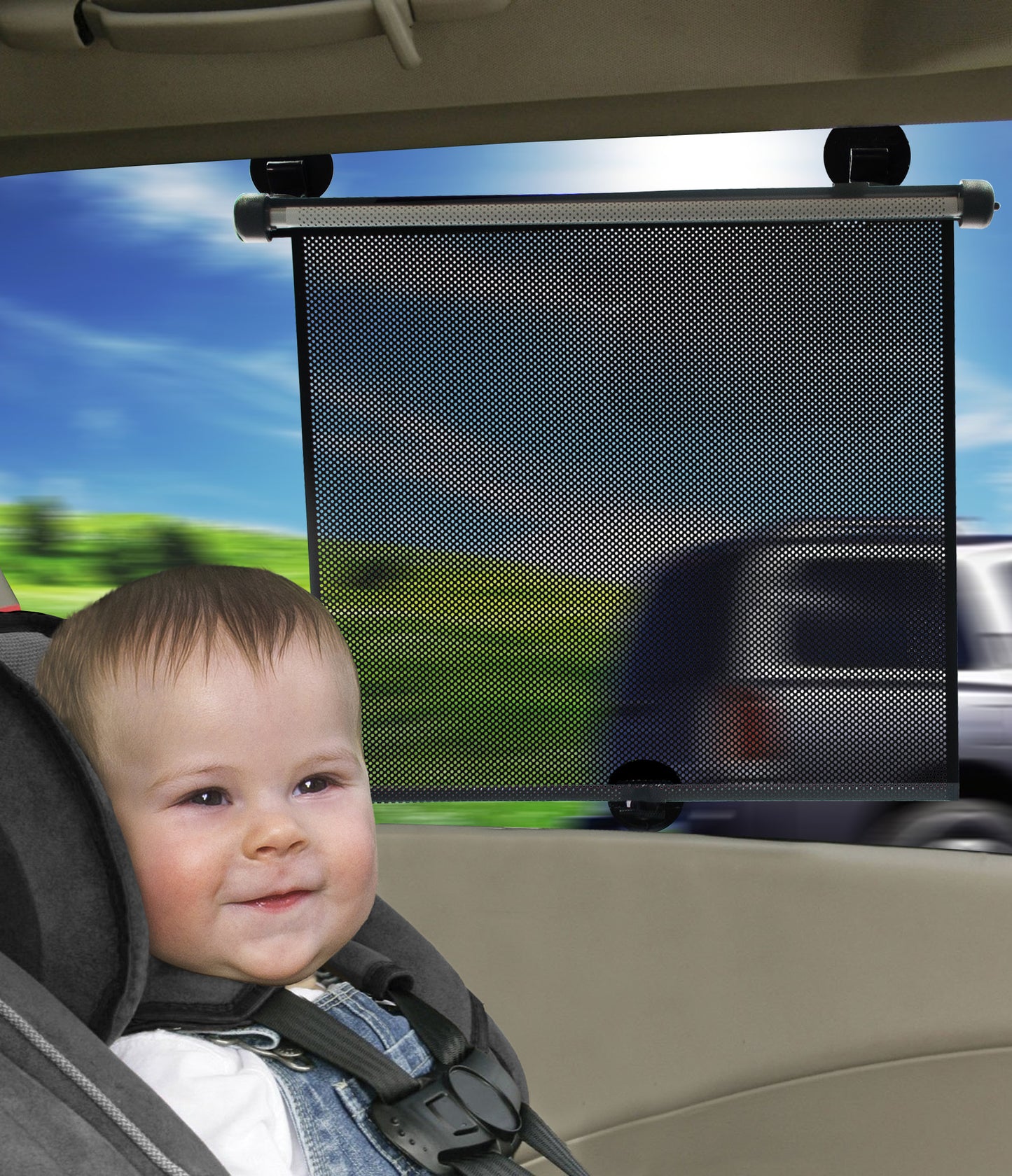 Sun Shade - 2 Pack